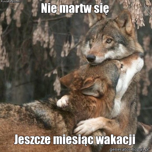 Nie martw się