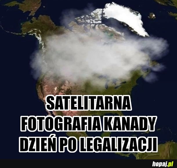 Zieło