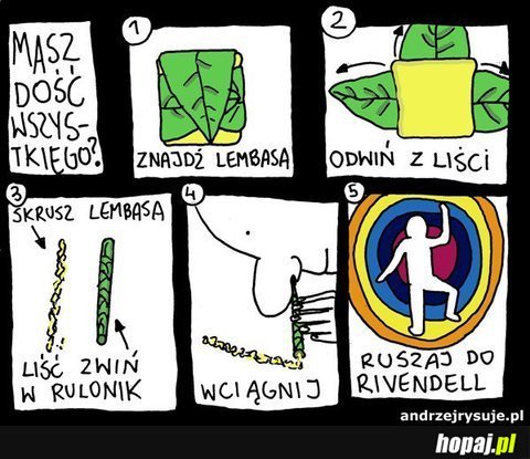 Masz dość wszystkiego ?