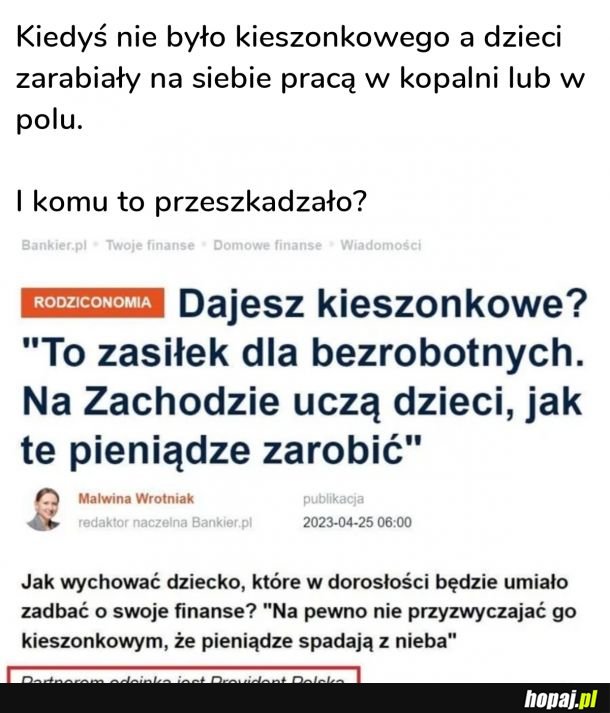 Kieszonkowe jako przykład komunizmu domowego