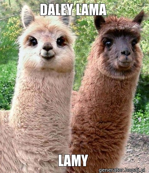 DALEY LAMA