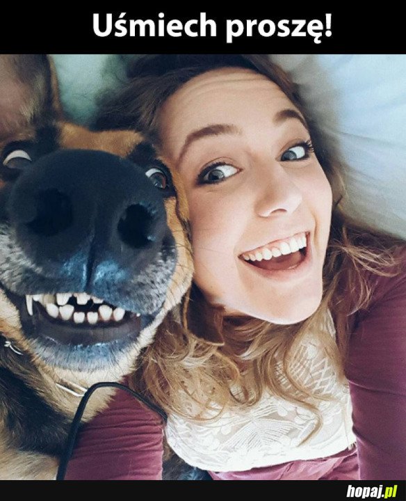 POWIEDZ SER