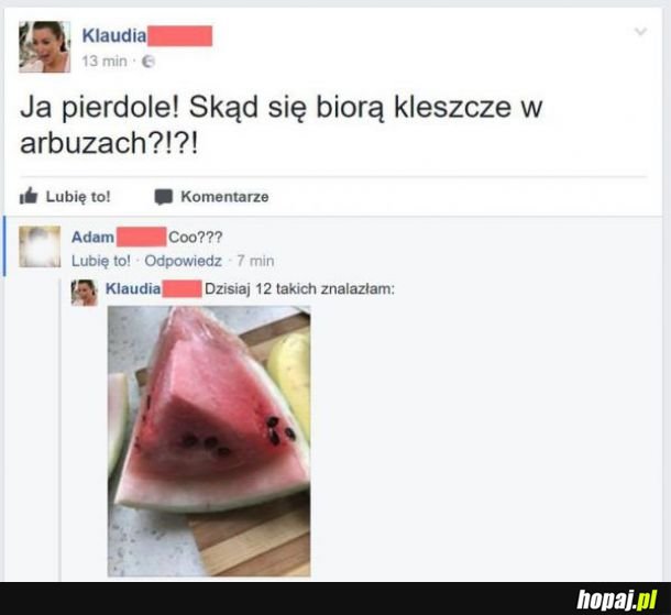 Kleszcze