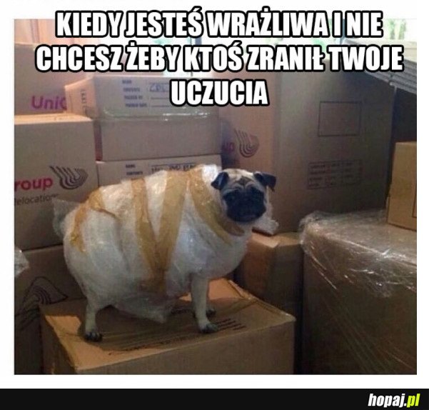 WSZYSCY RANIĄ MOJE UCZUCIA