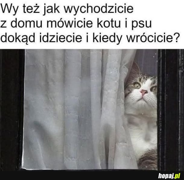 Wszystko będzie dobrze kitku