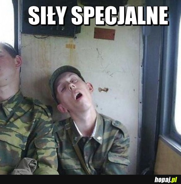 Siły specjalne