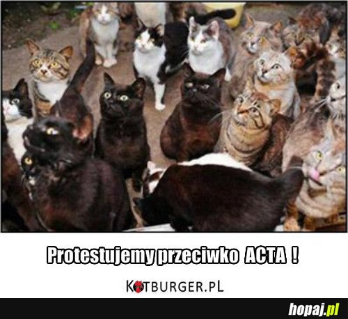 ACTA