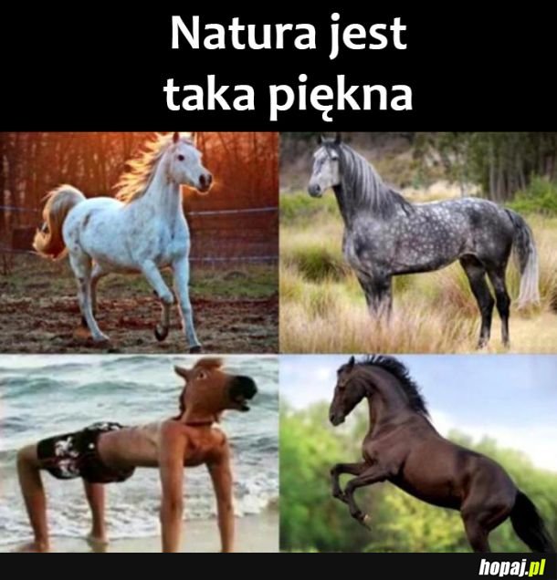 Natura