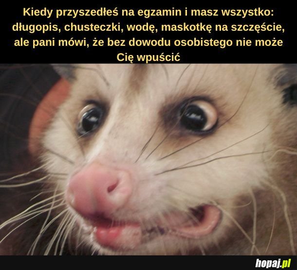 Przypał. 