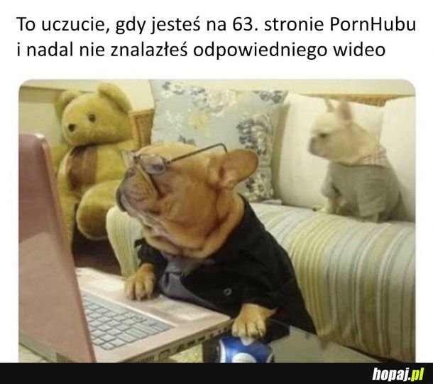 To poważna decyzja