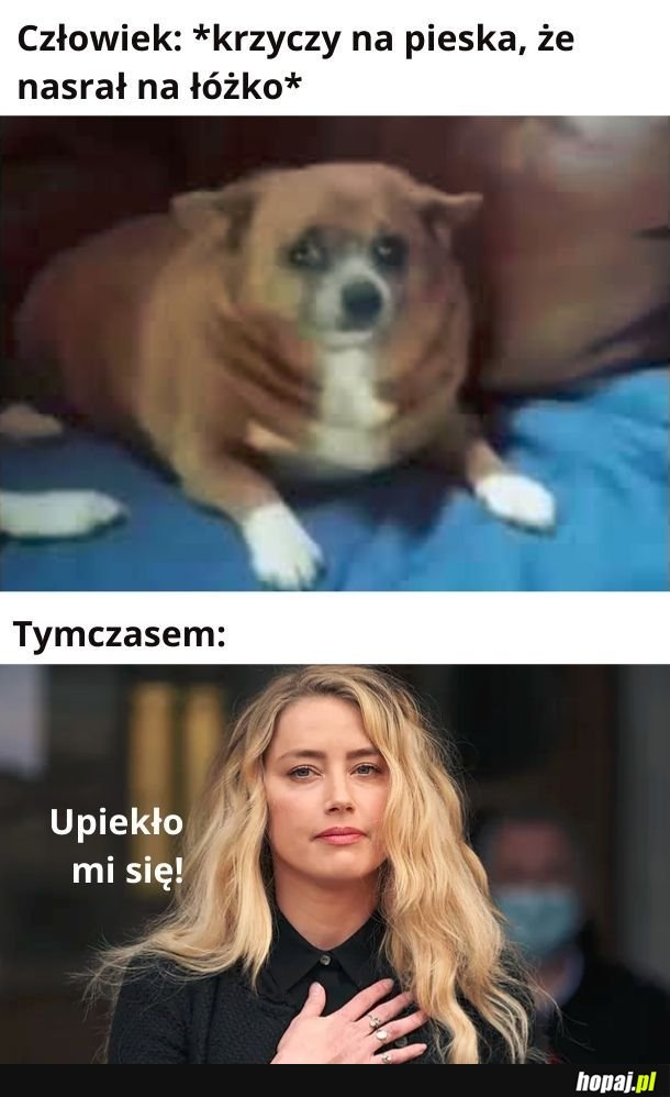 Niesłusznie oskarżony