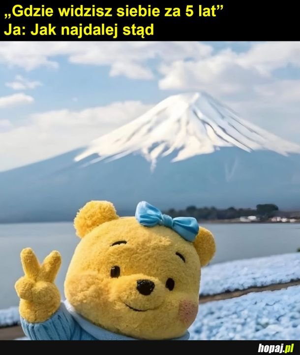 Moje plany