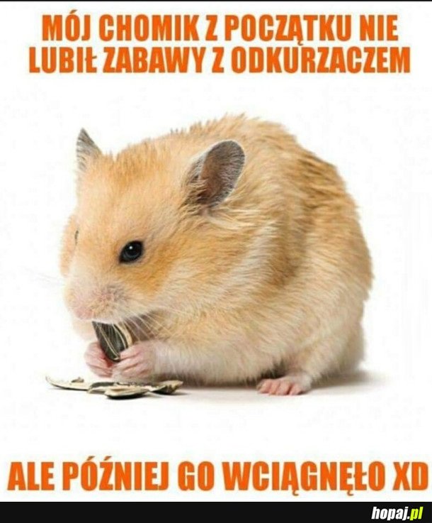 CHOMICZEK