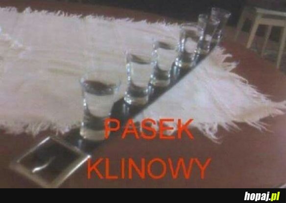 Pasek klinowy