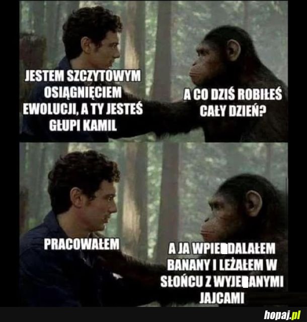 Osiągnięcia