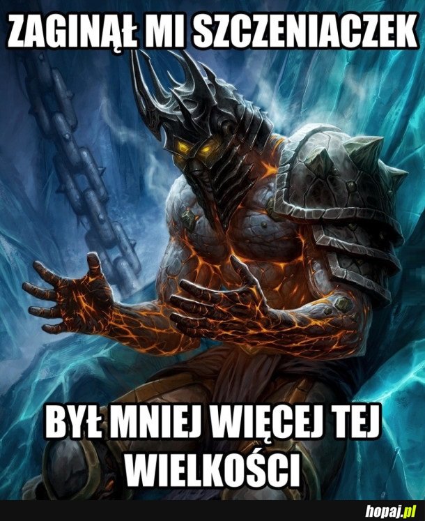 KTOŚ WIDZIAŁ