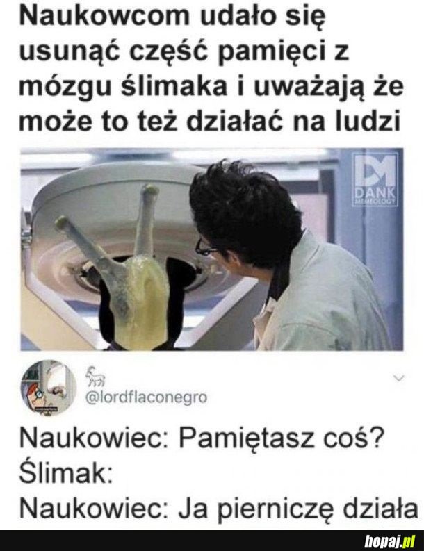 Naukowcy xD