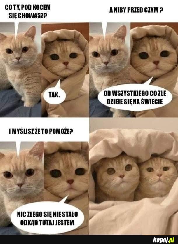 Cyk pod kołderkę