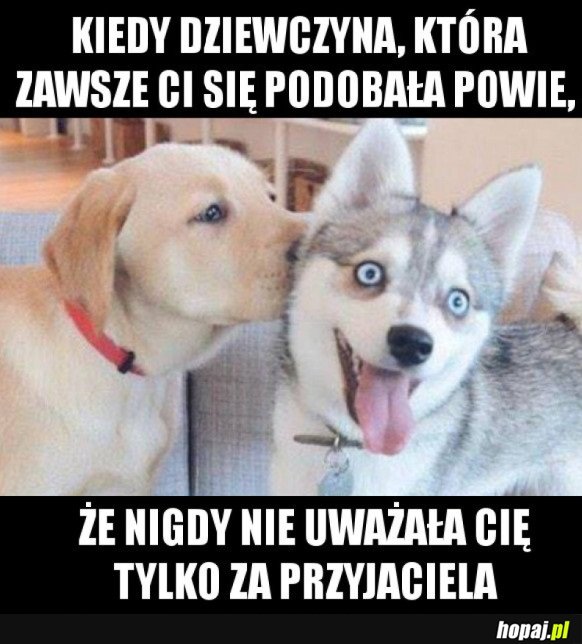 NAJLEPSZE UCZUCIE