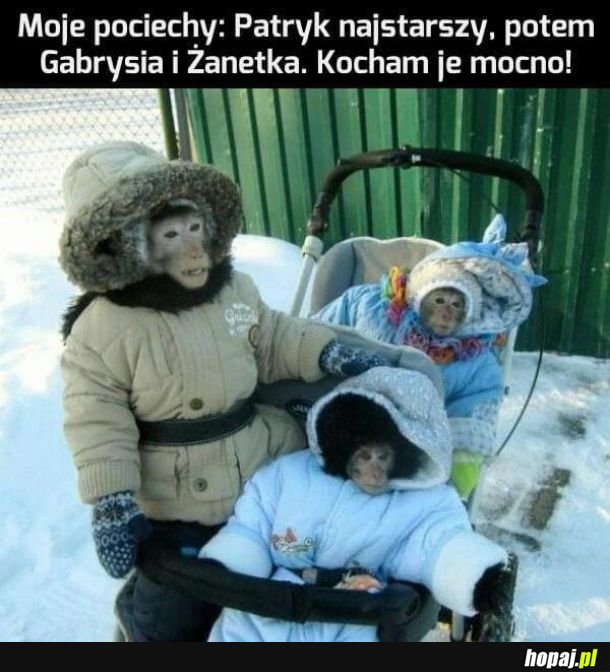 Każda madka po porannej kawusi rozpaczynająca swoją pracę na Fejsie