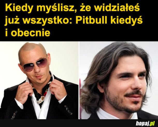 Pitbull