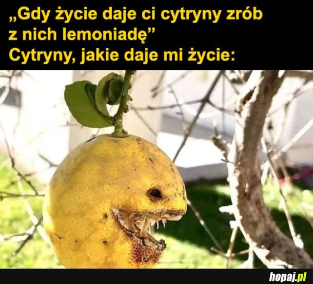  Życie