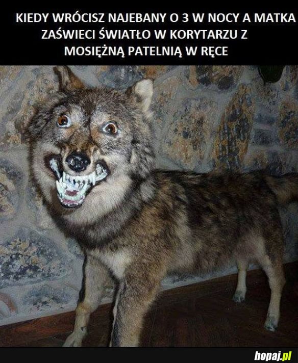 No to chyba mam pograne