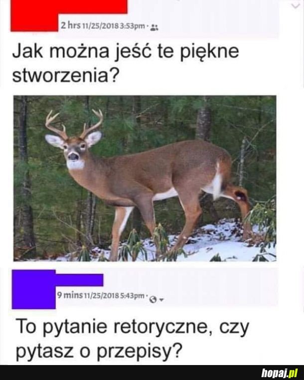 Piękne zwierzęta