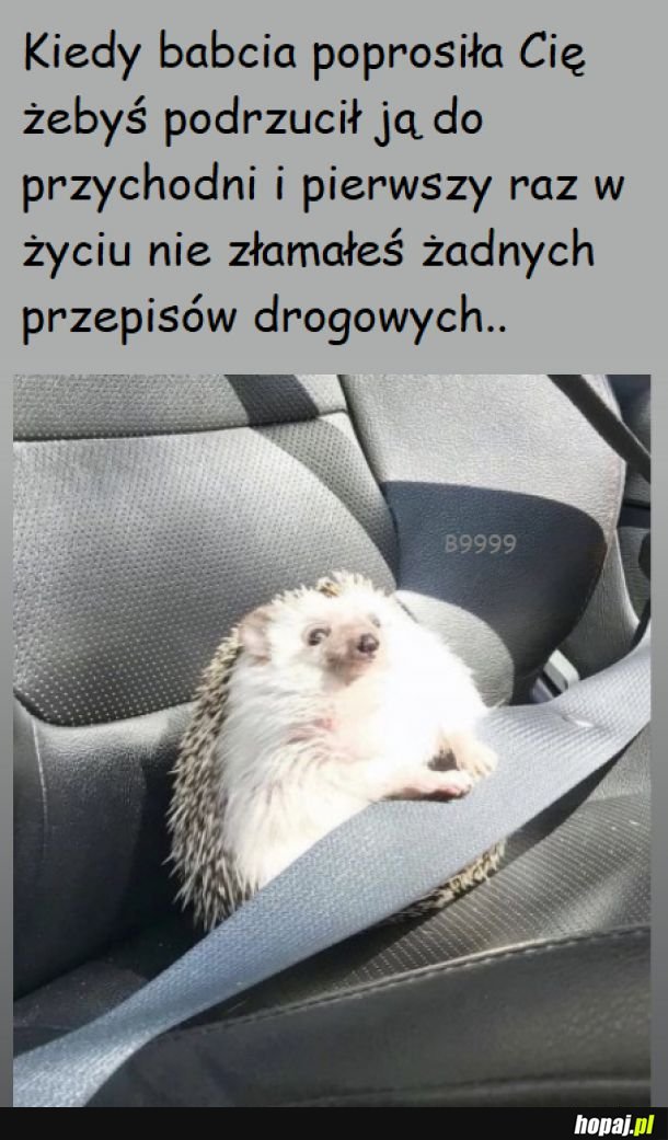 Dla babci wszystko