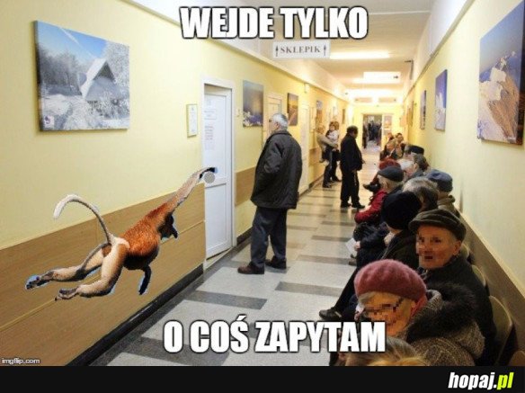 WEJDE TYLKO O COŚ ZAPYTAM