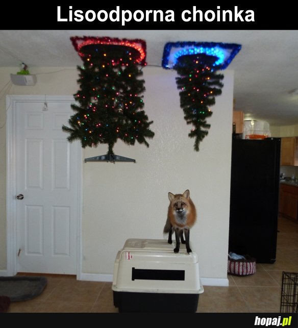 Choinka
