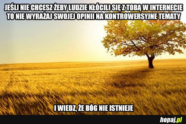 KŁÓTNIE W INTERNECIE