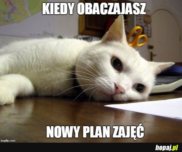 NOWY PLAN ZAJĘĆ