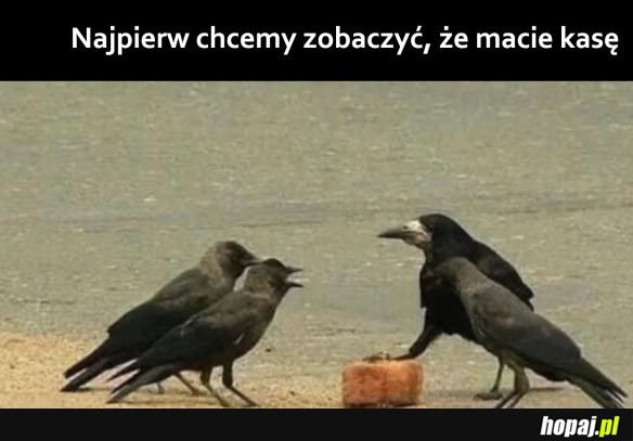 Tymczasem w świecie zwierząt