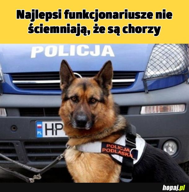 Najlepszy policjant