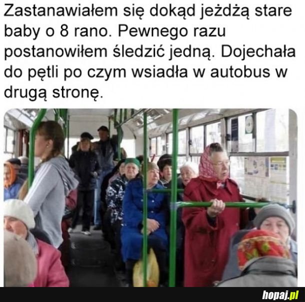 Jeżdżące baby