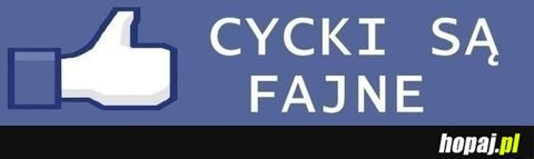 Cycki są fajne