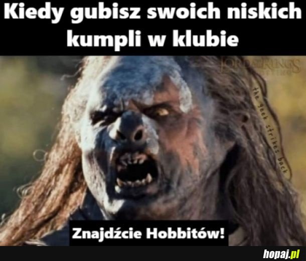 Szukajcie aż znajdziecie