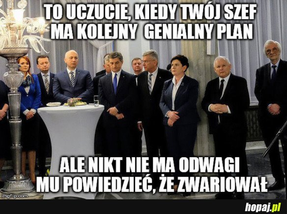 WSZYSCY SIĘ BOJĄ