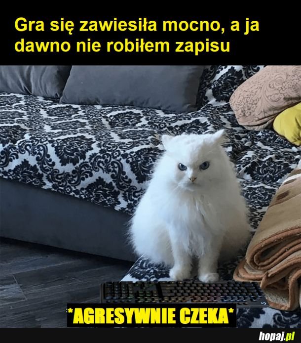 Najgorsze jest czekanie