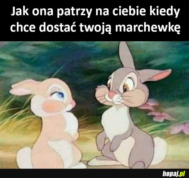 Heheszki