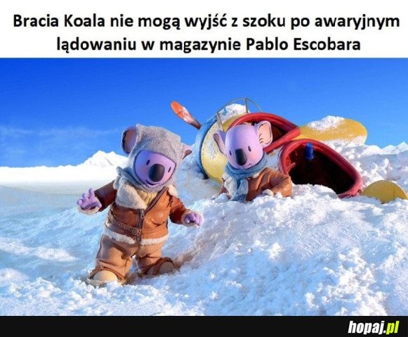 JESTEŚMY W SZOKU