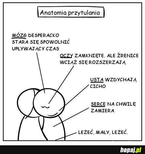 Anatomia przytulania