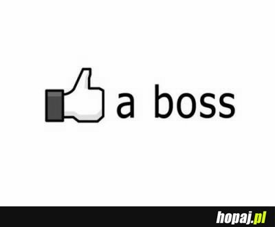 Like a boss