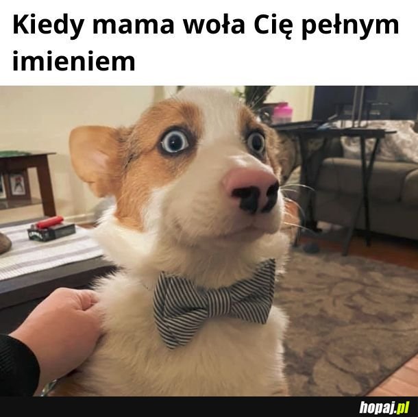 I już wiesz, że masz kłopoty