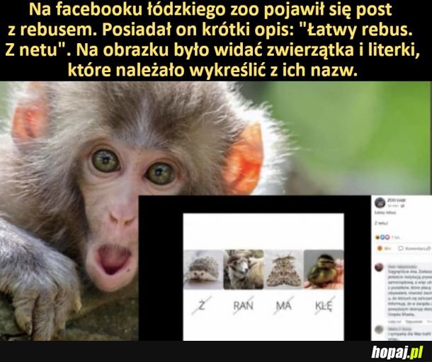 Na facebooku łódzkiego zoo pojawił się ciekawy post