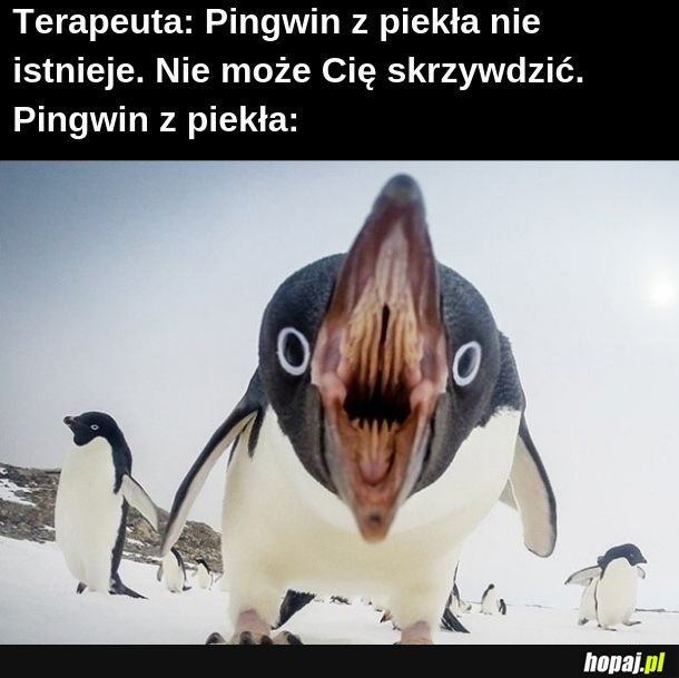 Pingwinek 