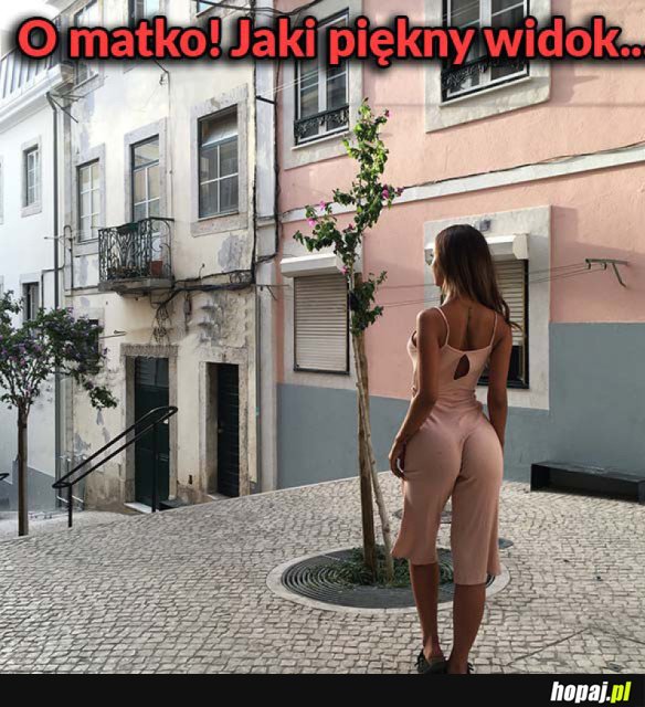 PRZEPIĘKNY WIDOK