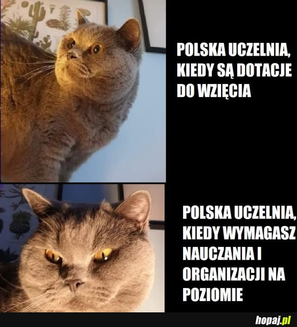 Uniwersytet (tu wpisz nazwę uczelni )