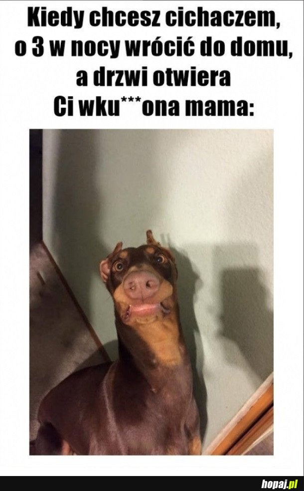 POWROTY DO DOMU TAKIE SĄ
